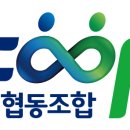 결성사회적협동조합