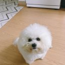 기다리다 이미지