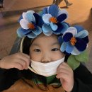 페이퍼로즈키즈