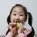 수진이김밥