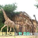 아롱이네 농장 이미지