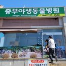 중부동물병원 이미지