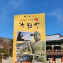 각원사 | 천안 각원사 벚꽃 개화 실시간 방문후기