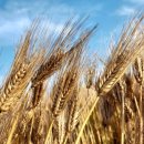 만점농원 이미지