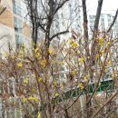 아~너무 아프다! 이미지