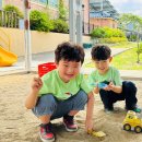 바다의별유치원 이미지