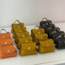 개. 이쁜날 이미지