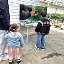 여수대로 | 경기남부딸기체험 성남 ‘딸기랑’ 후기 (예약 꿀팁)5월까지 가능!