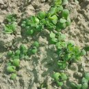 김종수농장 이미지