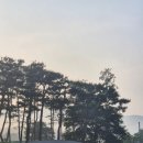 운촌갤러리카페 | 스카이밸리cc 날씨 아침식사 기대이하 라운딩후기