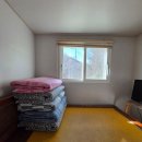 소나무숲속의하얀집 | 양평독채펜션 서울근교독채펜션 양평숲속의하얀집펜션 단체숙소 후기