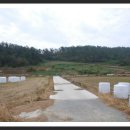 지도 당촌리 석장승 이미지