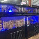 시대축산정육점