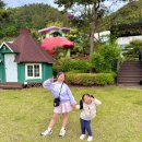 비피펜션 이미지