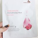 에코미테라피