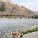 평화황토 | 기장 맛집 황토향기 오리백숙 부산근교 부모님 모시고가기 좋은 드라이브 나들이 코스 추천