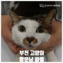중동우리아이동물병원 이미지
