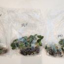 미하농장 이미지