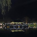 너와 바람개비 | [여행] 2025년 부여국화축제, 국화향 따라 꽃이 되는 순간! 200% 즐기기