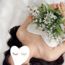 하이,포포 이미지