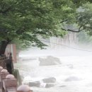 단양채훤민박 이미지