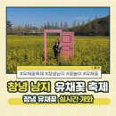 씨유 창녕남지유채점 | 창녕 남지 유채꽃 축제 - 실시간 개화 현황