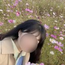 힐스뷰티(HILLS BEAUTY)