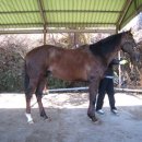 승수목장 이미지