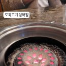 도둑고기임학점