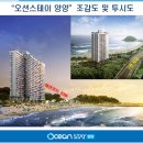 스테이동산항