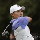 조조라이언