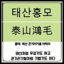 泰山鴻毛(태산홍모) 이미지