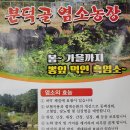 분덕골농장 이미지