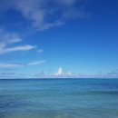 오늘도 화창 이미지