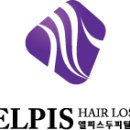 엘피스드림
