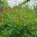 근원농장 이미지