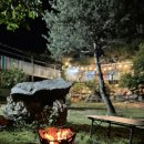 개멍물멍 이미지