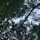 구수골로 | 해남 구수골계곡