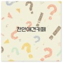 쿤스트베이커리카페 | 천안 애견카페 추천 실내 동반 아산 양도까지 깔끔 정리