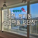 송림마을2단지(아)경로당 | 대전 하기동 유리창 청소, 큰 거실창을 탈거 없이도 갓벽하게! Ft.송림2단지