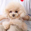 투게더동물병원 이미지