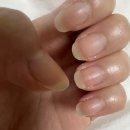 포스네일 | [네일] 올영 네일영양제 반디 다이아포스 💅 솔직 후기