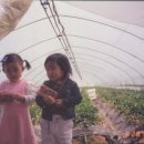 진서농장 이미지