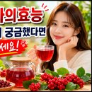 오미자의효능 면역관리 궁금했다면 꼭 보세요 이미지