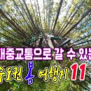 3,4,5월 수도권 봄 여행지 11곳 이미지