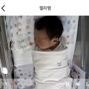 🏥 연제일신산후조리원 솔직 후기 | 제왕절개 출산 후 1주일 스위트룸 실사용기