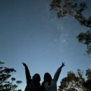 뽀삐뽀삐 이미지