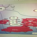 한국정보통신혁명 주요사건 연대표(2022.4.4) 이미지