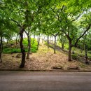 호원농장 이미지