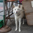 백구우체국 이미지